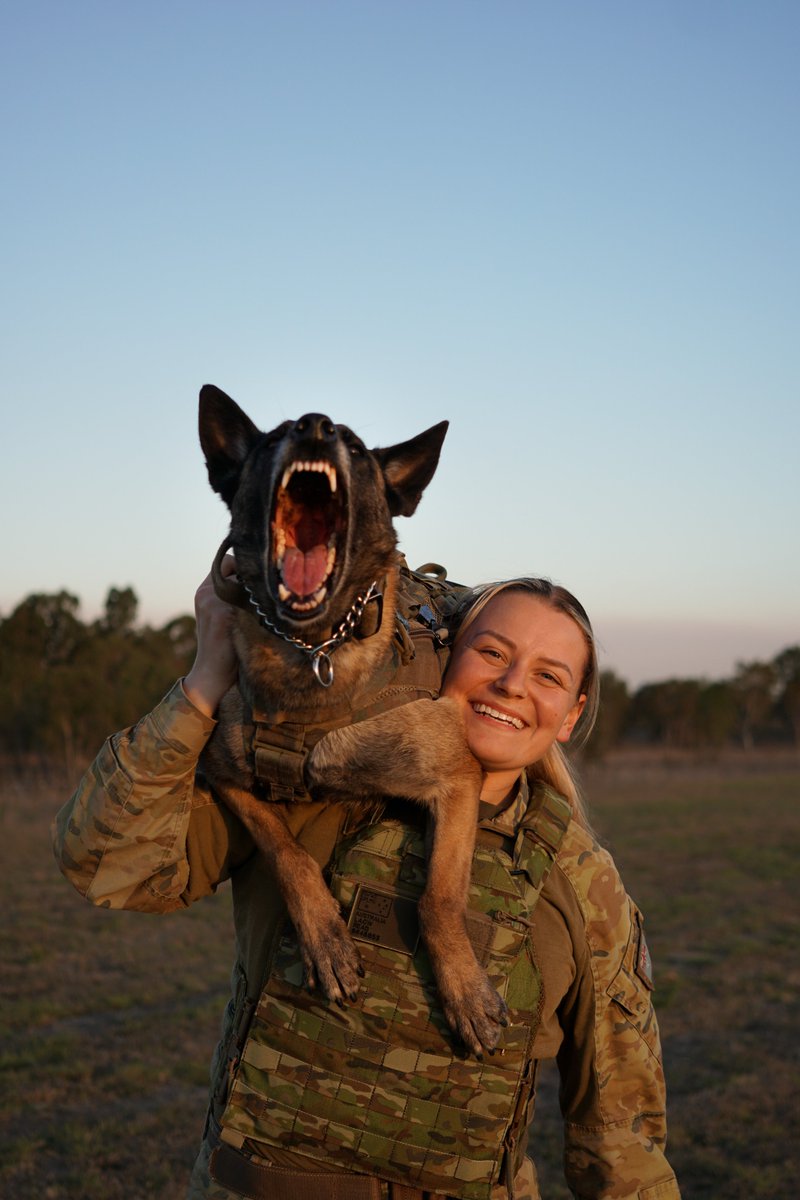 AusAirForce's tweet photo. Happy National Military Working Dog Day to the pups of #YourADF! 🐶✨

Our Military Working Dogs are located on most Air Force Bases around Australia as part of Combat Support Group. They provide security, emergency response, and protection of our aircraft and people. 🐾🐾 https://t.co/V0WjJDPfQU
