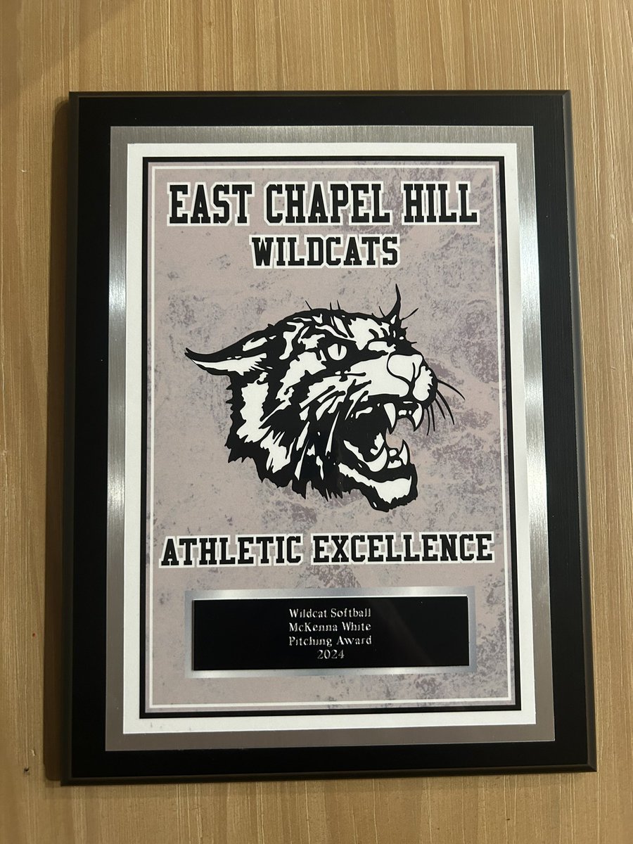 So excited to be named All-Conference and honored to get the pitching award! It was a great high school season and I am so excited for next year!! 🩵🐾