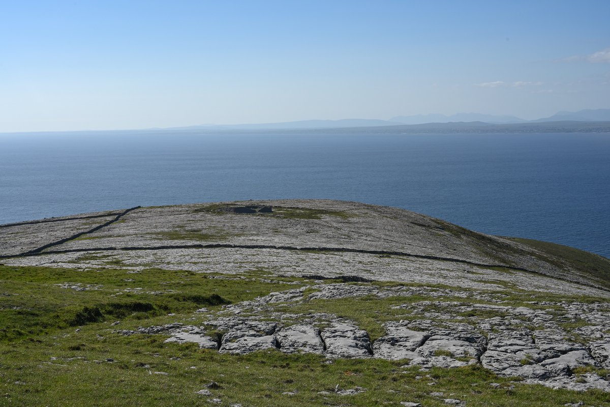 MOConnell07's tweet photo. A backlog of photos so where better to start than the #Burren &amp; Blackhead, 1 June. Slowly climbed the limestone (pavement, grykes &amp; carpets of flowers) to top (314m), attempting to take it all in as I climbed. Stone fort, probably >2000 y old, spectacular from close-up or afar https://t.co/SAGJMNXGAO