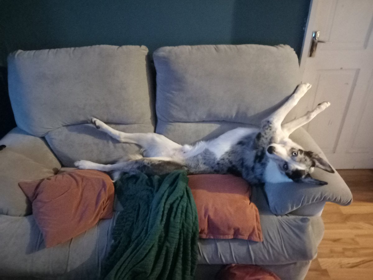 Enthusiastic Eunuch tweet media