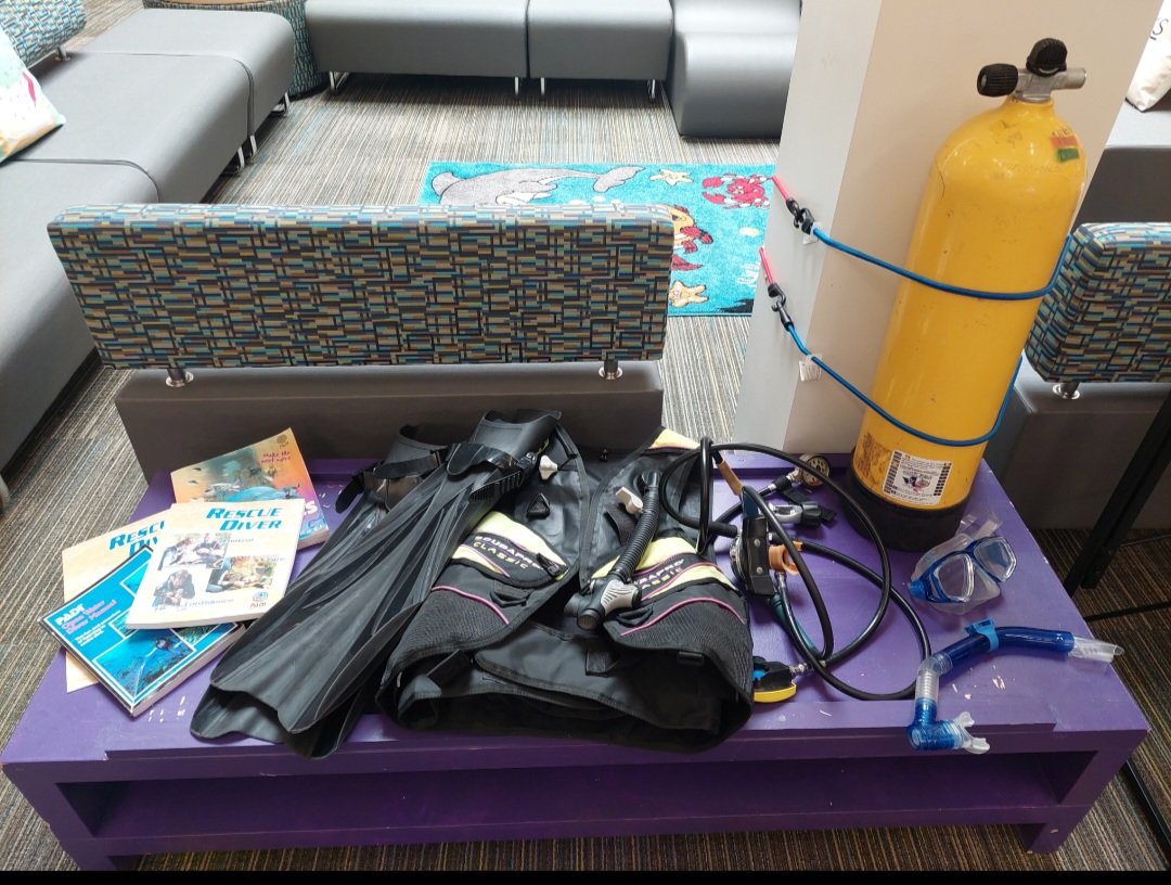 Treasure Forest Elementary tweet media