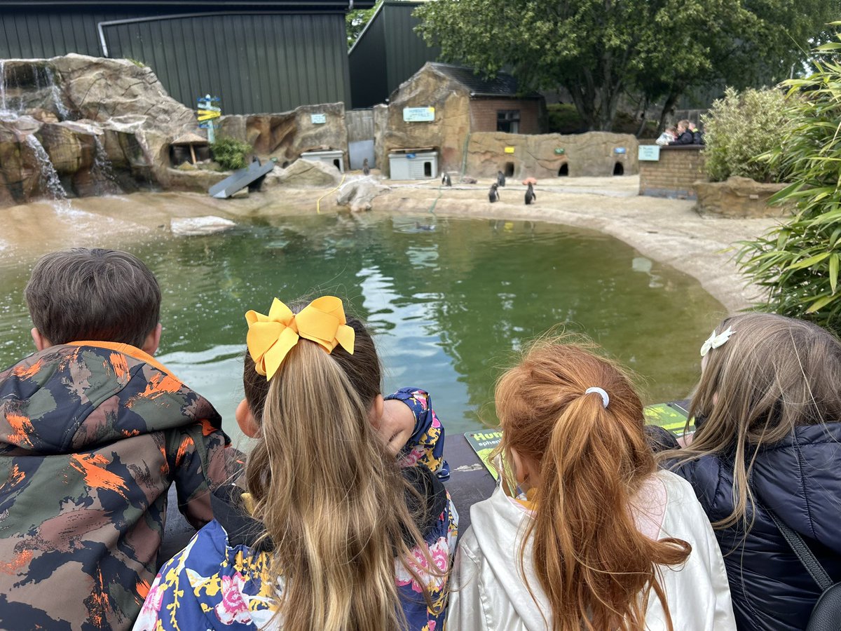 Lots of fun at Blair Drummond today!
<a href="/MpsMaddp2/">MPS_Primary2</a> <a href="/MPS_P2_1B/">MPS P2/1B</a> 

#RRSA #article31