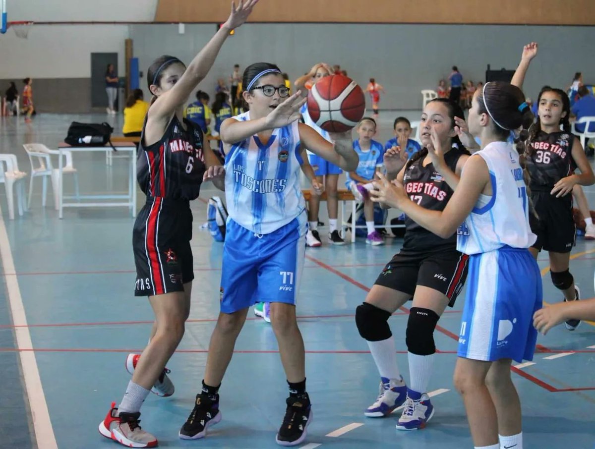 FCBaloncesto's tweet photo. ๐ #PreMinibasketFem
๐ฎ๐จ #CC2024
๐ Primera Jornada
#BaloncestoEnPositivo #Canarias100x100 #Canarias #Baloncesto #Basketball #Basket #Deporte #Sport #Photography #SportPhotography https://t.co/dGJAj2FuDM