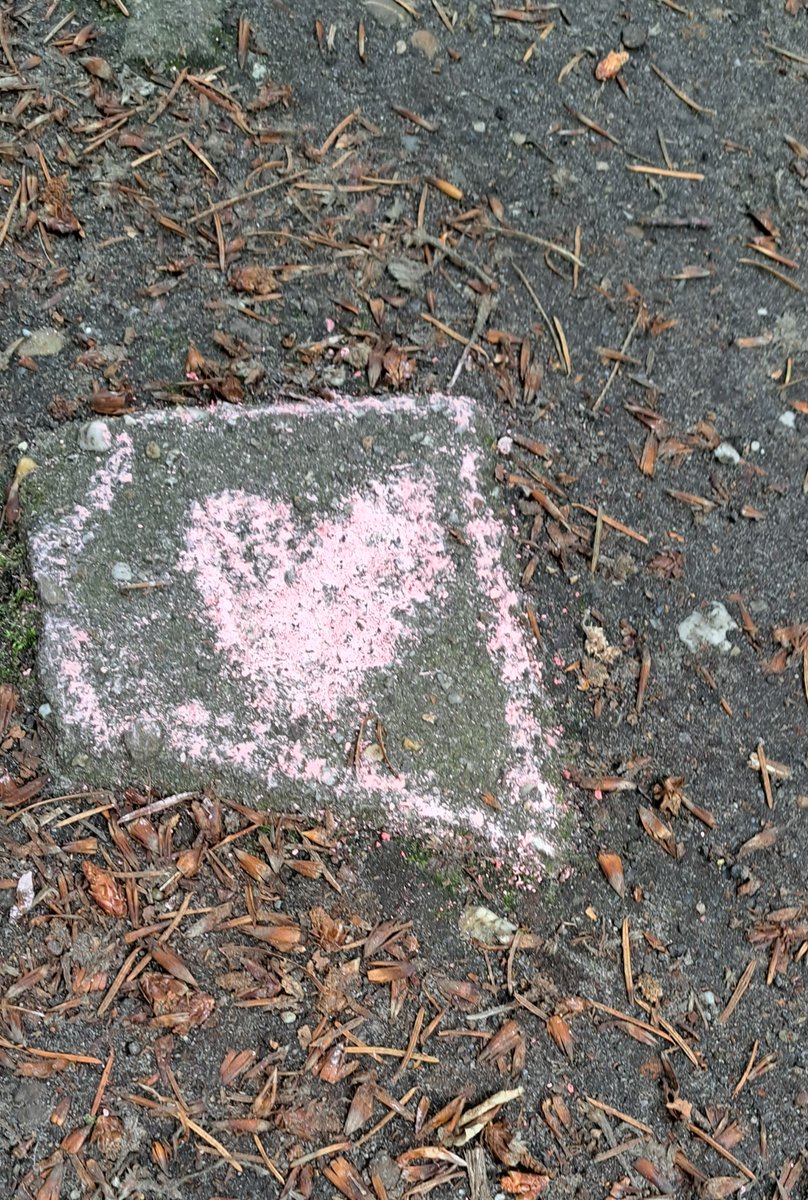 JiscaDijk's tweet photo. #waardevol #Twente #Driene #bos #verrassing
Op een prachtig bospad vond ik zomaar roze hartjes 🥰
Dankjewel, werd er helemaal blij van 😊 https://t.co/Y3TdCuPC4K