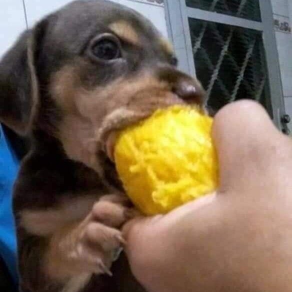 depois de muito pensar cheguei a conclusão que eu tenho uma beleza agradável mas não tenho uma beleza atraente