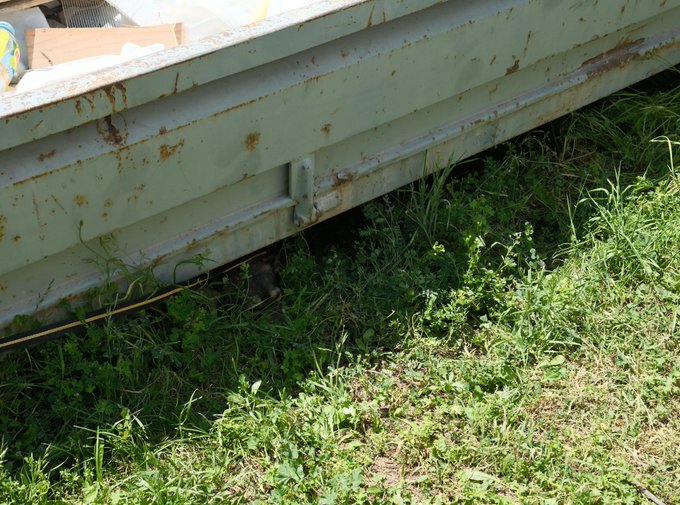 Trouve le chiengue 🐕 https://t.co/fjoPobQ7tO<a href="/tag/femmes"class="tags"><span>#femmes</span></a><a href="/tag/diable"class="tags"><span>#diable</span></a>