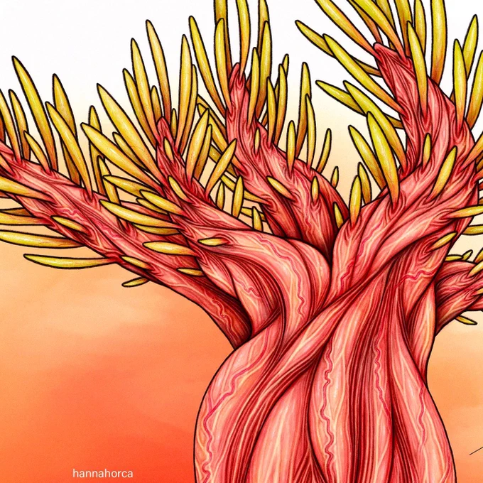 Carnulentum and Sorbitus - details  