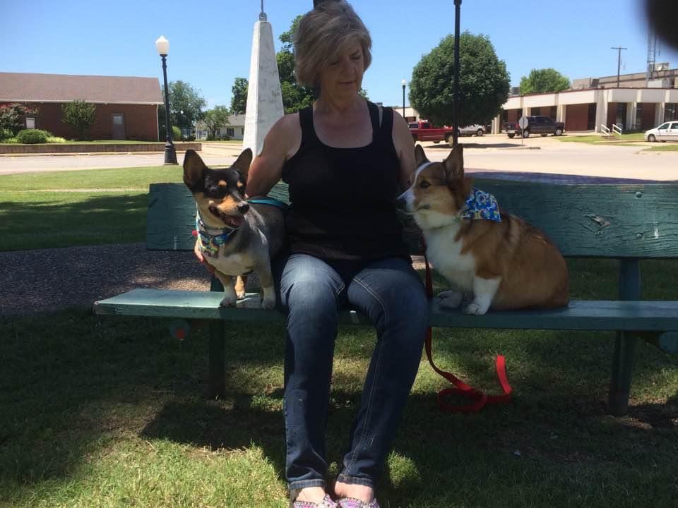 books2luv's tweet photo. #TrhowbackThursday Me with 2 corgis that have crossed the 🌈 bridge, Stormy &amp; Ginny #CorgiCrew https://t.co/1xg5ZvpZLF