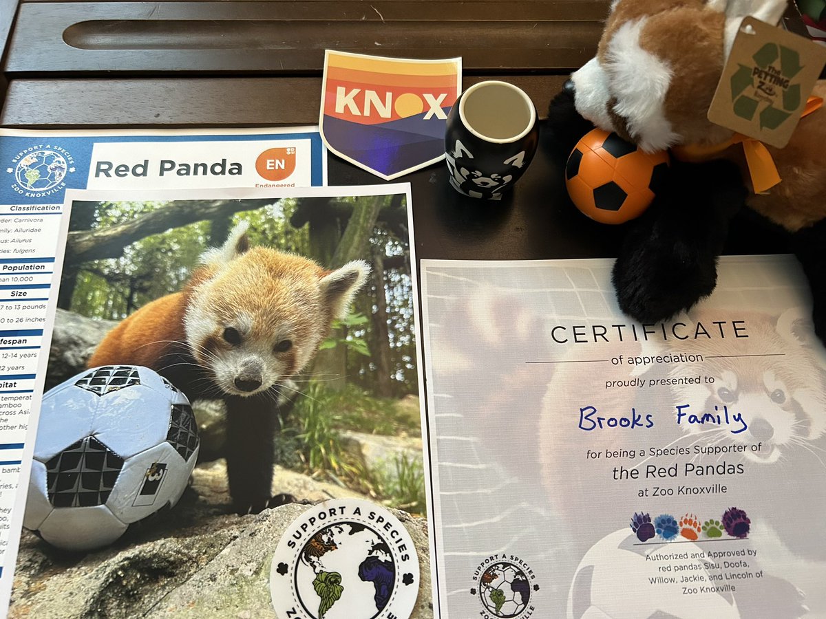 DesertVol's tweet photo. Thanks to the partnership between @zooknoxville and @OneKnoxSC our family are official red panda supporters! You can support too through the zoo website! #WildlyFun #SupportASpecies #OneKnoxSC https://t.co/rkbMcCINgZ