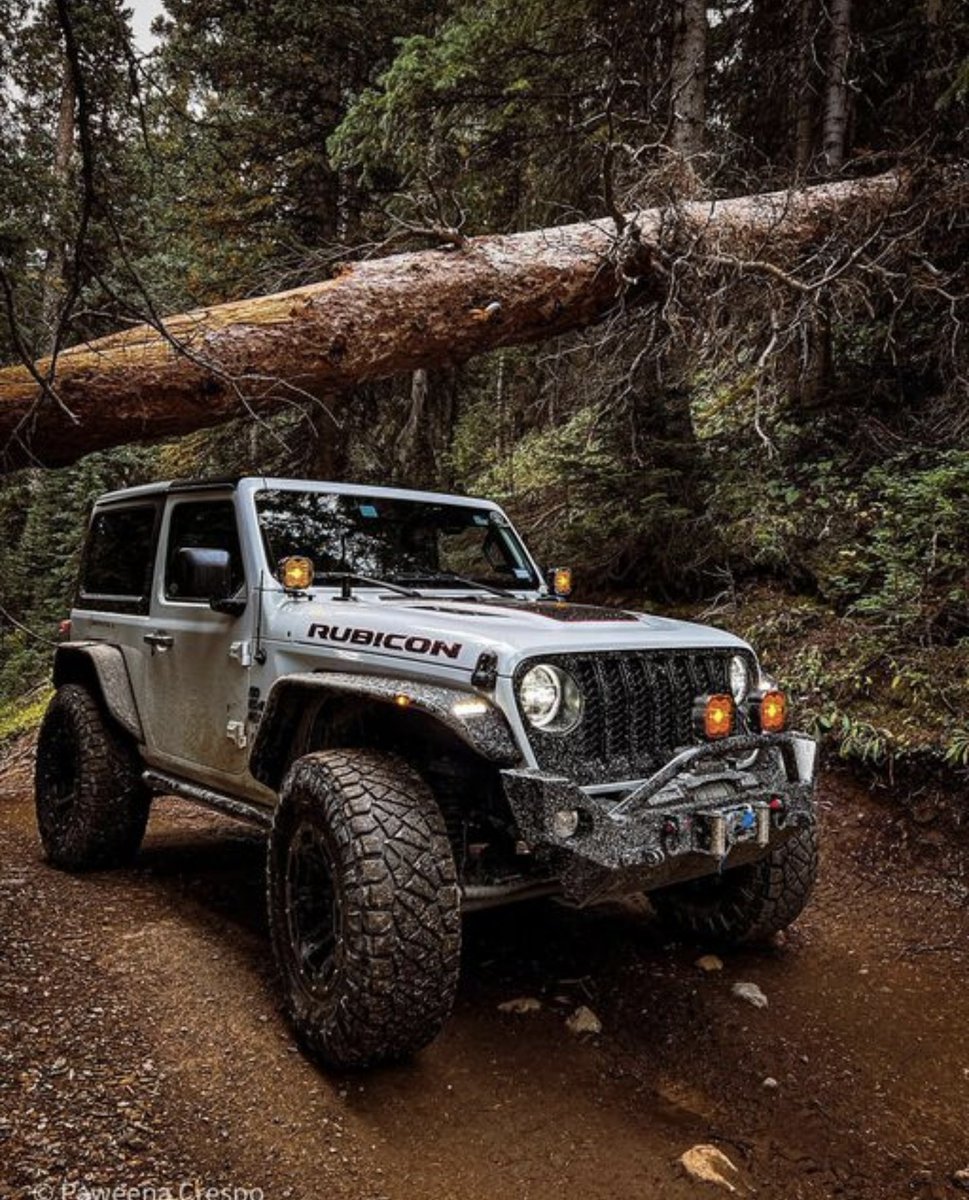 @daisycutter_jl's Rock Hard 4x4 Patriot Series Mid Width Front Bumper

Making dirty look so clean! 
#rockhard4x4
#madeinusa