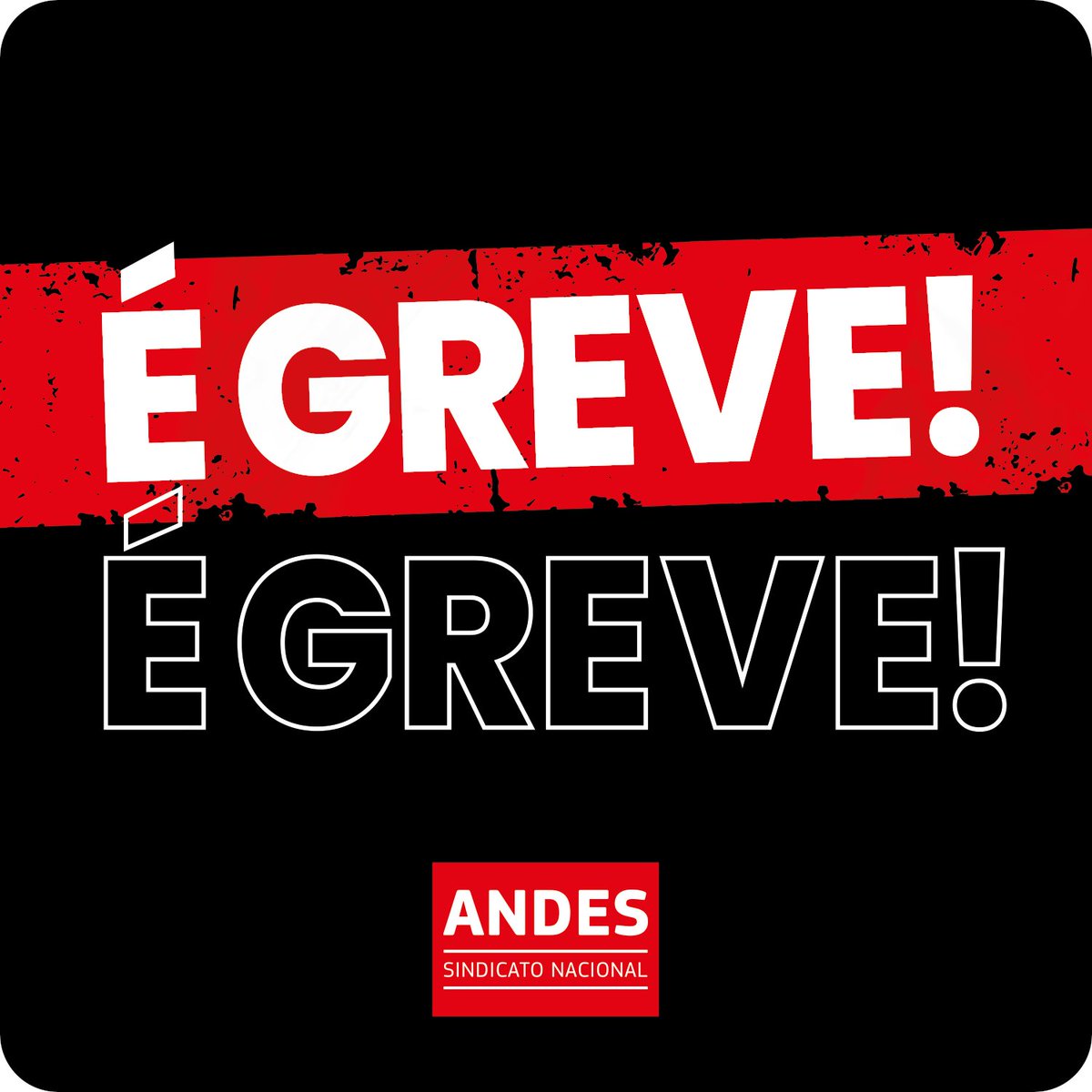 andessindicato's tweet photo. O governo federal escolheu manter o reajuste de 0% em 2024, a desestruturação da carreira e a asfixia orçamentária das IFEs. 
#EducacaoNoOrcamento https://t.co/fB5dxKvWgr