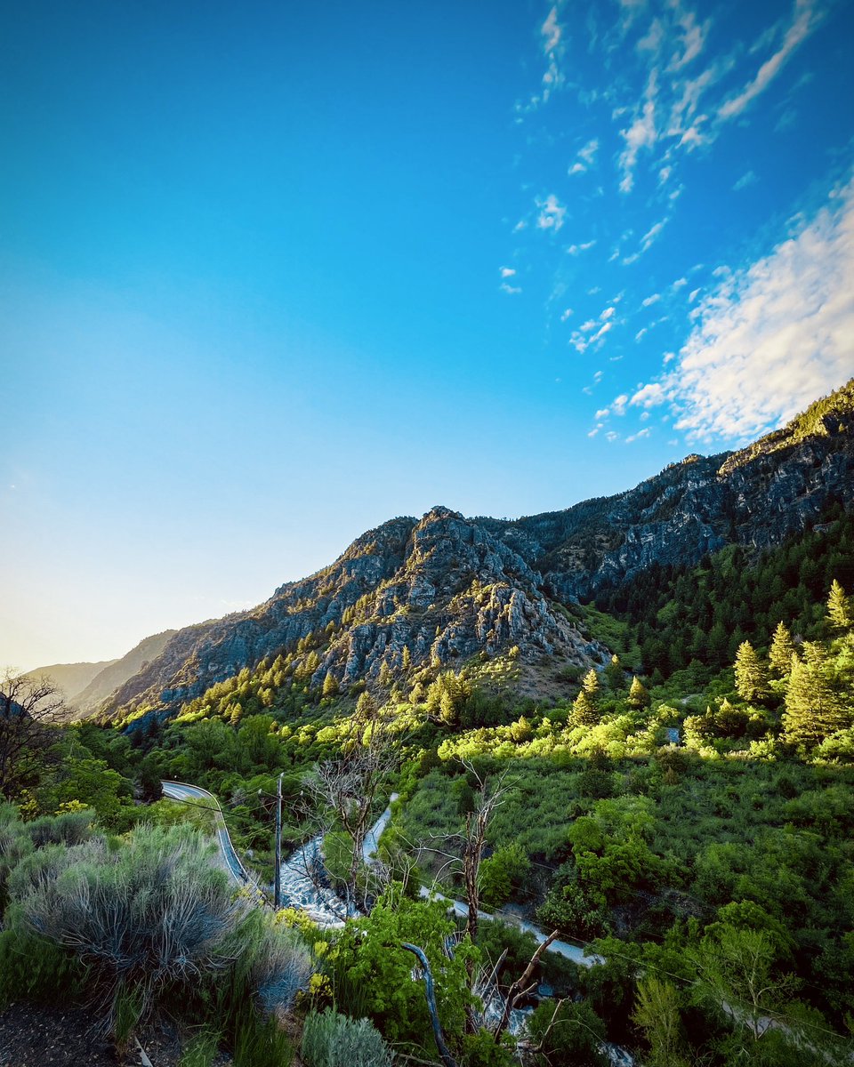 S_TKnowles's tweet photo. this would be your ACTUAL backyard!

APPLY: https://t.co/izvbIbyN5y https://t.co/SSg9M0DtNL