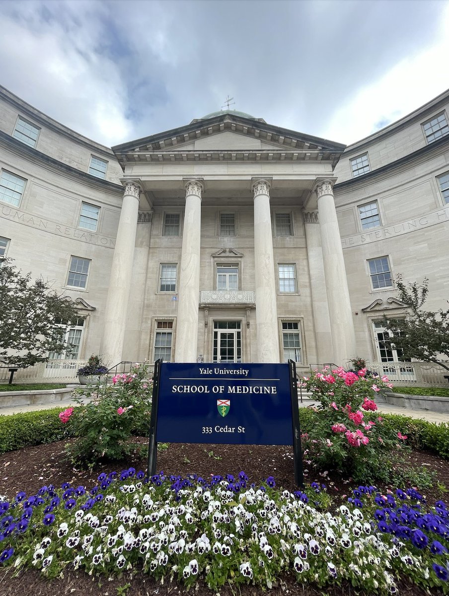 Alexxis Gutierrez, MS3 tweet media