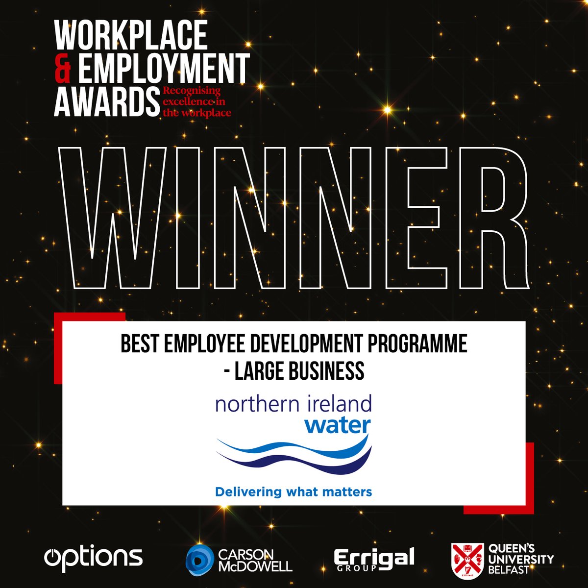 irish_news's tweet photo. Delivering what matters! Congratulations @niwnews! Winner of ‘Best Employee Development Programme’ Large 🥳
#WEA24
Sponsored by @carsonmcdowell https://t.co/hHSko0jLEI