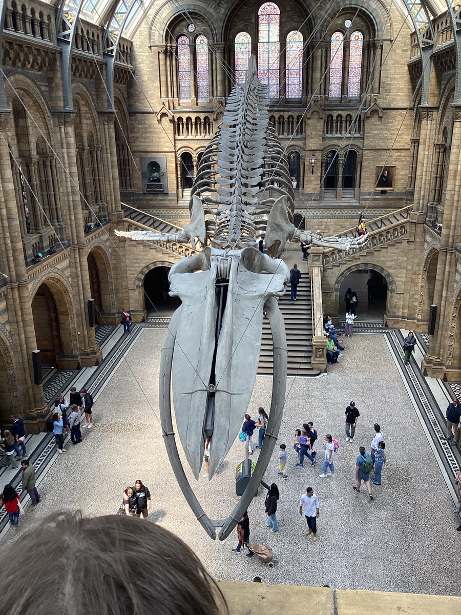 A few snaps from the history museum.