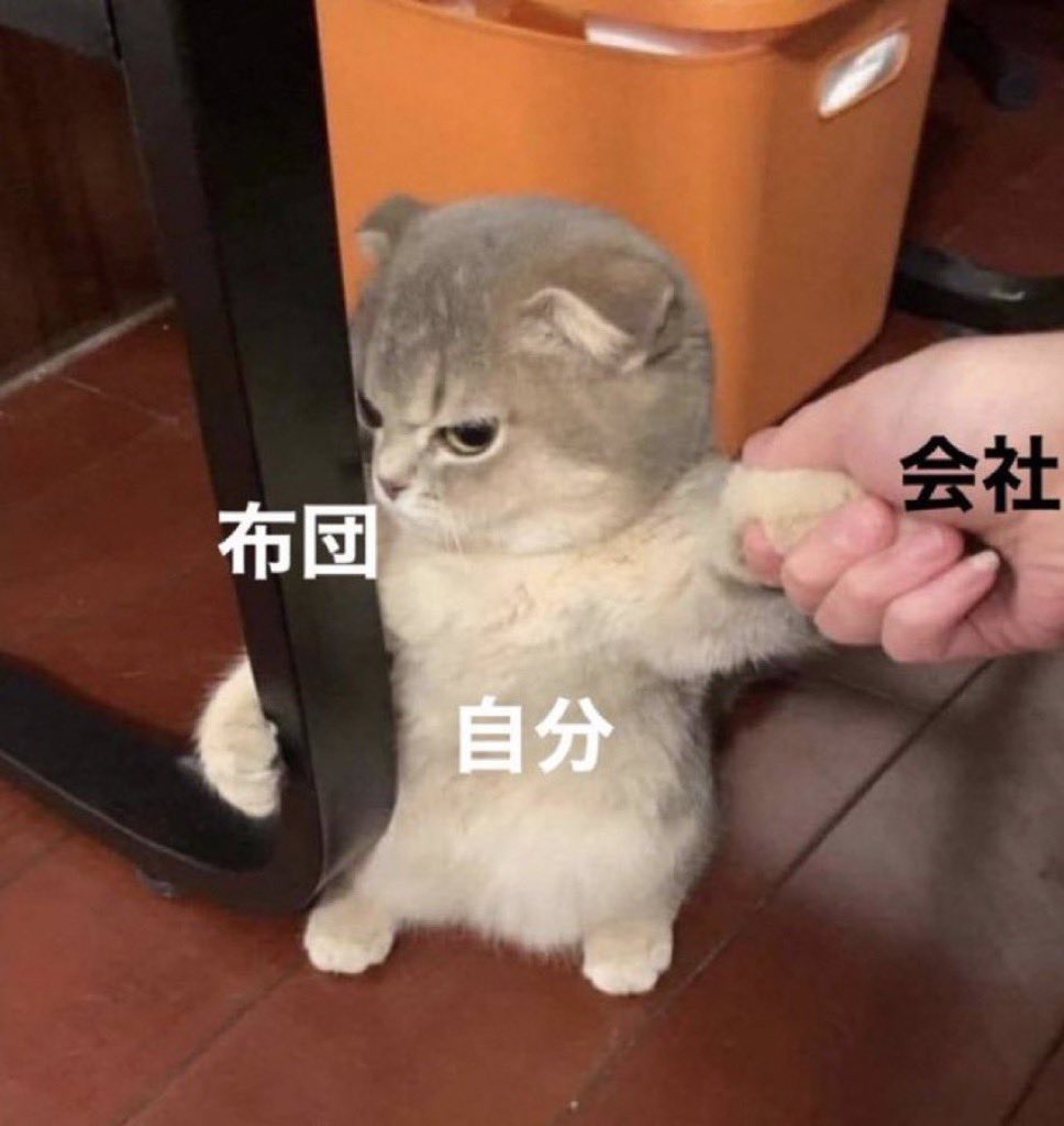 朝