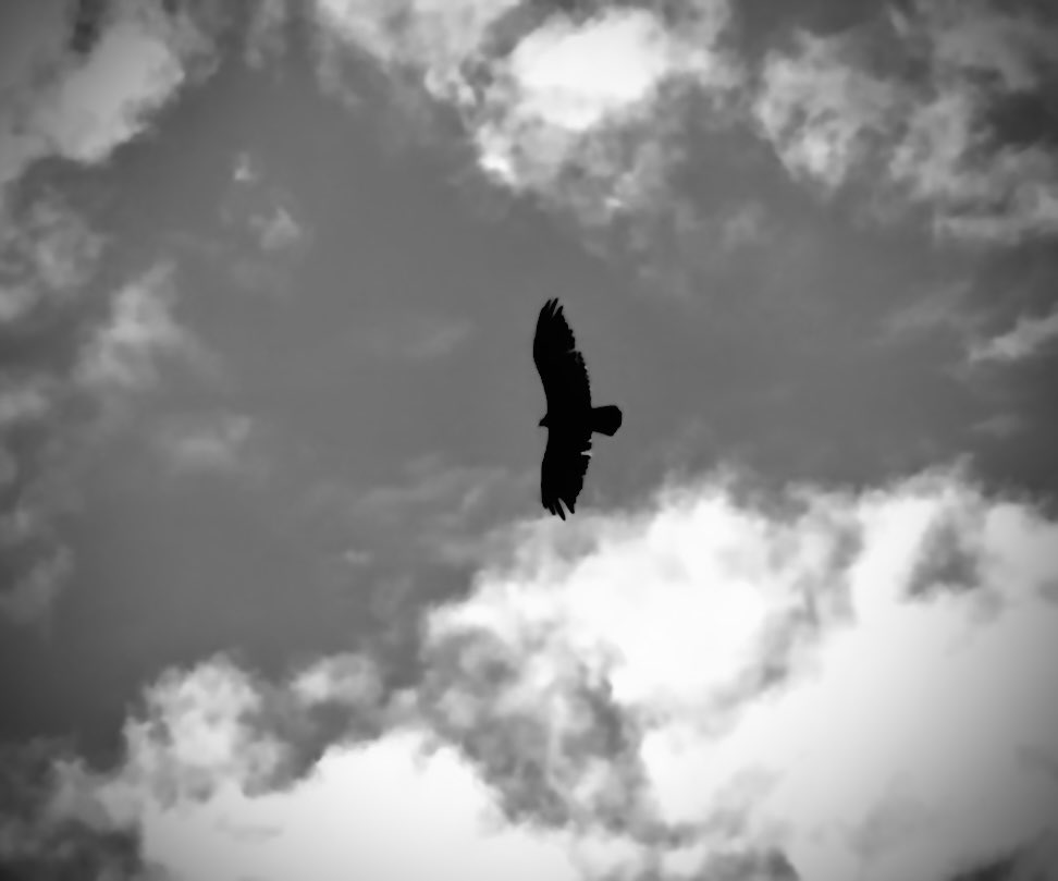 Life in Color (@licgenesis_) on Twitter photo 