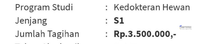 Ptn! Spill UKT kalian,, gw dluan