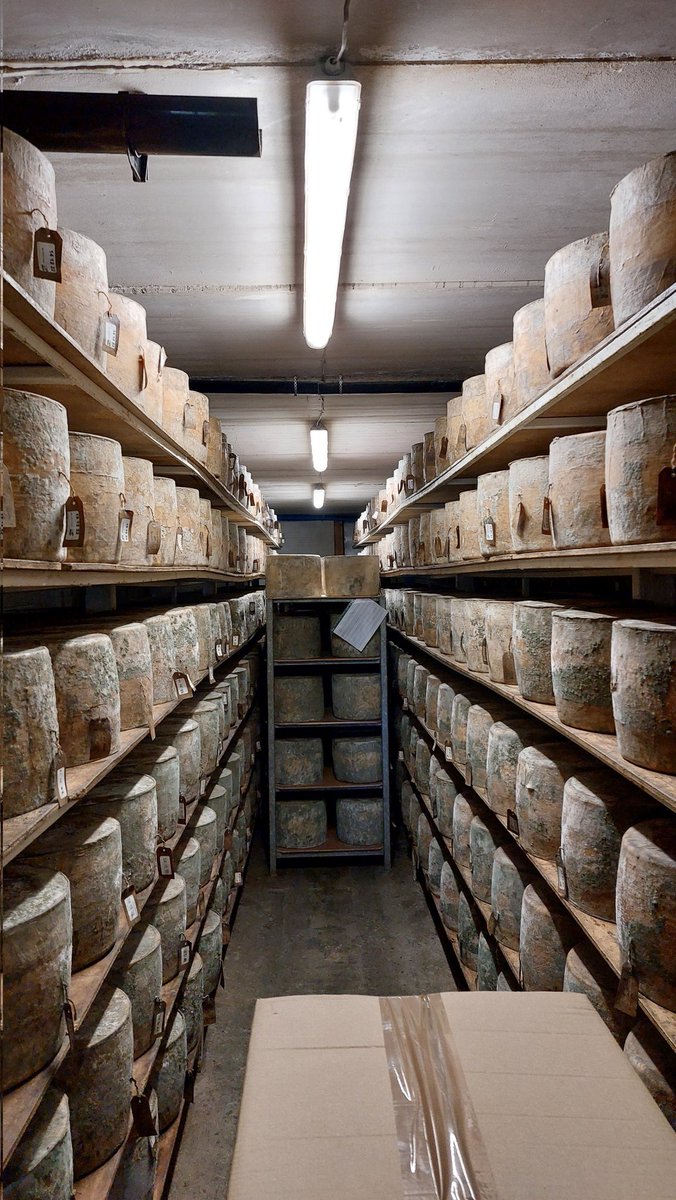 Claire Arnold - Member Pioneer tweet media