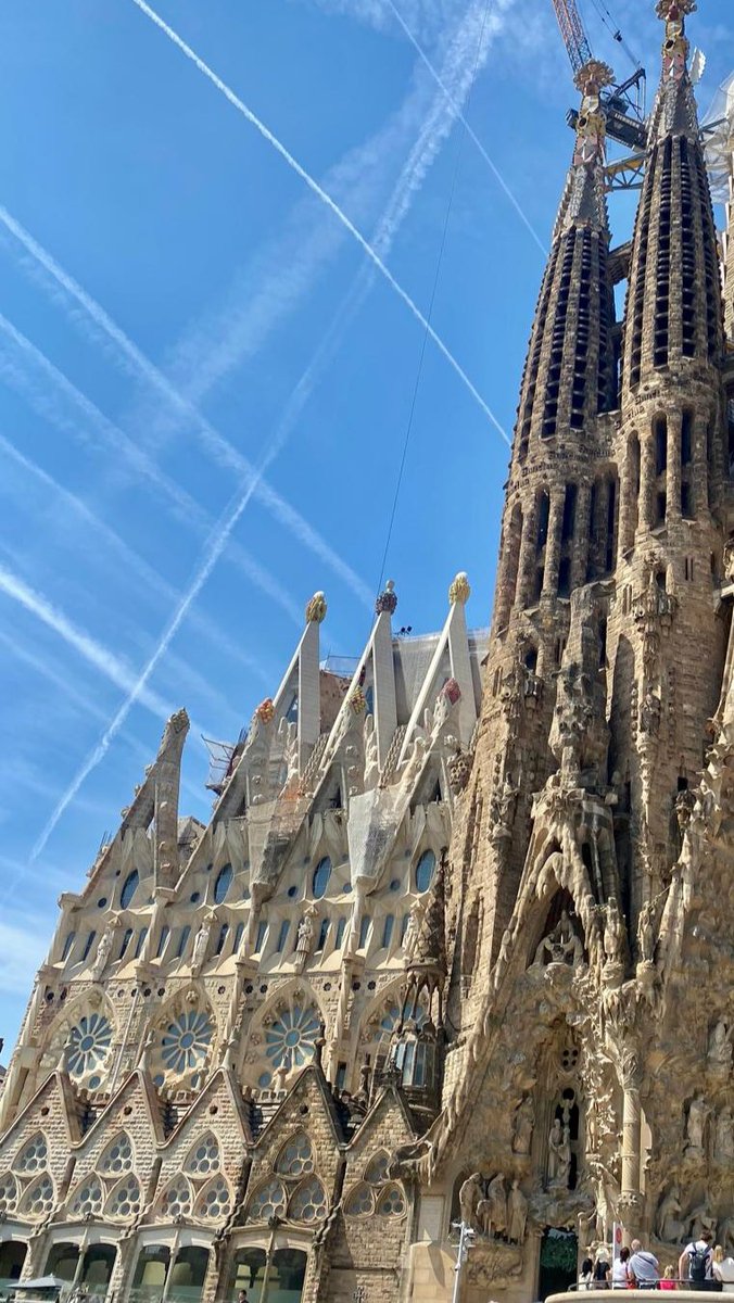 Descansito para lo que se viene...🧘✨