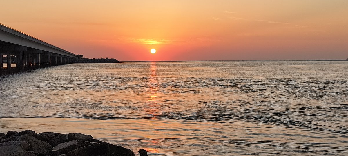 I made sure to have the camera handy this morning at Little Talbot Island, FL