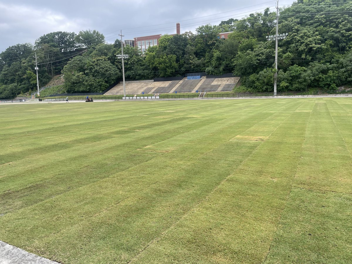 BruiserSports's tweet photo. Installation of the sod for the GPS stadium field is on schedule and looking good! We cannot wait to see the Bruisers host their first soccer game on the new surface in August. #GoBruisers #HTTG 😎 https://t.co/DD3jZFwlQb