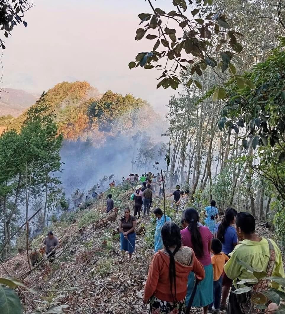 CentralQNoticia's tweet photo. Grandes y pequeños unen esfuerzos para ayudar a controlar el incendio en la #SierraMazateca. 

Un fuerte incendio amenaza los bosques en las comunidades de la Sierra de Flores Magon, incluyendo al municipio de Santa María la Asunción donde todos los ciudadanos han acudido a brindar su apoyo para proteger a los bosques, incluyendo niñas, niños y adultos mayores.

Lamentablemente las condiciones climáticas han dificultado la liquidación de los incendios en esta zona. Quienes gusten sumarse a la causa se necesitas: Palas, machetes, azadones, guantes, mascarillas, agua embotellada, bebidas hidratantes, alimentos de fácil consumo. 

📸 Santa María La Asunción

#CentralQNoticias #Oaxaca #Noticias
https://t.co/YZa7OI9OXh