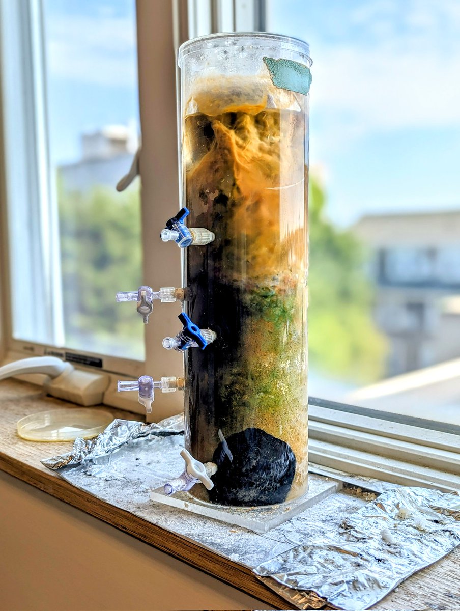 MEPjoe's tweet image. The Winogradsky column's Great Black Spot continues to grow.