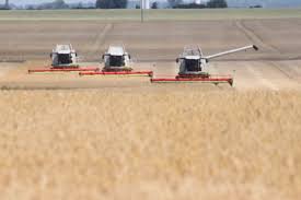 mehrwortwert's tweet image. Ob die #Radikalenernte welche #Radikale einfahren das Ergebnis jahrelanger #Radikalisierung ist, es mehr #Mäßigung braucht, die #Demokratie zu schützen.

 flaneurgedichte.blogspot.com/2024/06/radika…