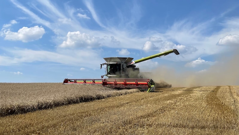 mehrwortwert's tweet image. Ob die #Radikalenernte welche #Radikale einfahren das Ergebnis jahrelanger #Radikalisierung ist, es mehr #Mäßigung braucht, die #Demokratie zu schützen.

 flaneurgedichte.blogspot.com/2024/06/radika…