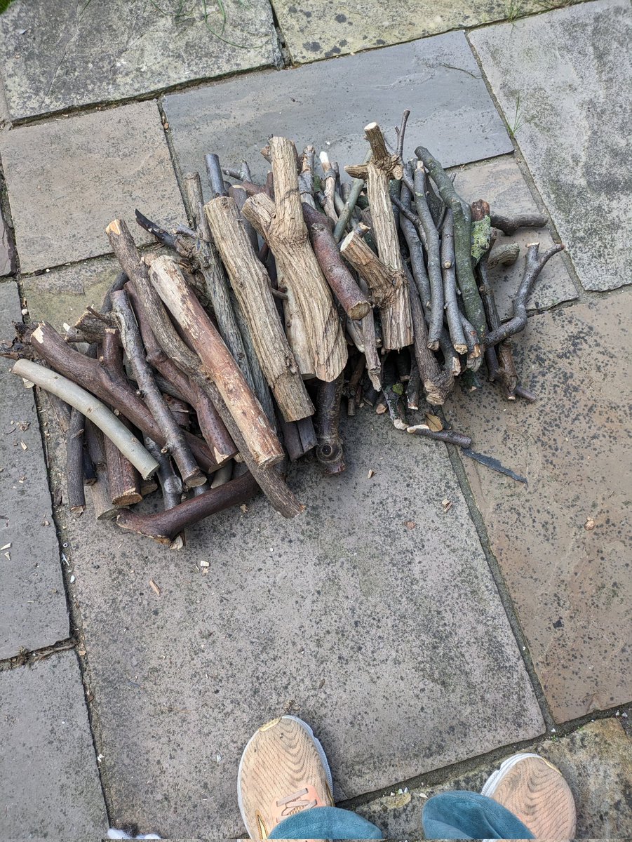 Emily Whiteley tweet media