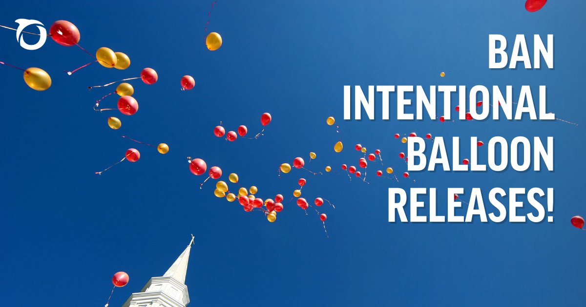 oceana's tweet image. FLORIDIANS: Ocean wildlife needs your help! Tell @GovRonDeSantis to swiftly sign #HB321 into law to prohibit the intentional release of balloons - and protect our beaches &amp;amp; ocean animals. oceana.ly/4e8l7uh🐬🎈