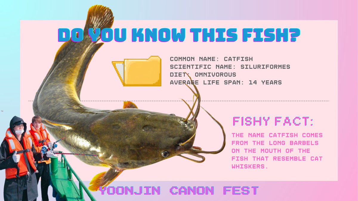 yoonjin_canon's tweet photo. [FISH NAMES] Been a while! On this episode of fish names... 🤓☝️

#yoonjin #yoonjincanonfest #fishnames https://t.co/TMZLVE9RKB