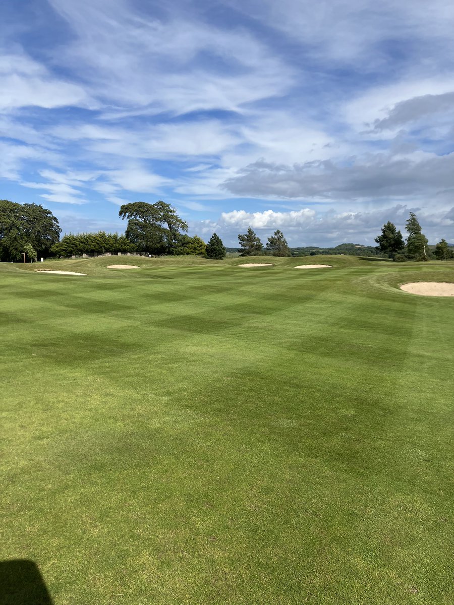 Rab Burns tweet media