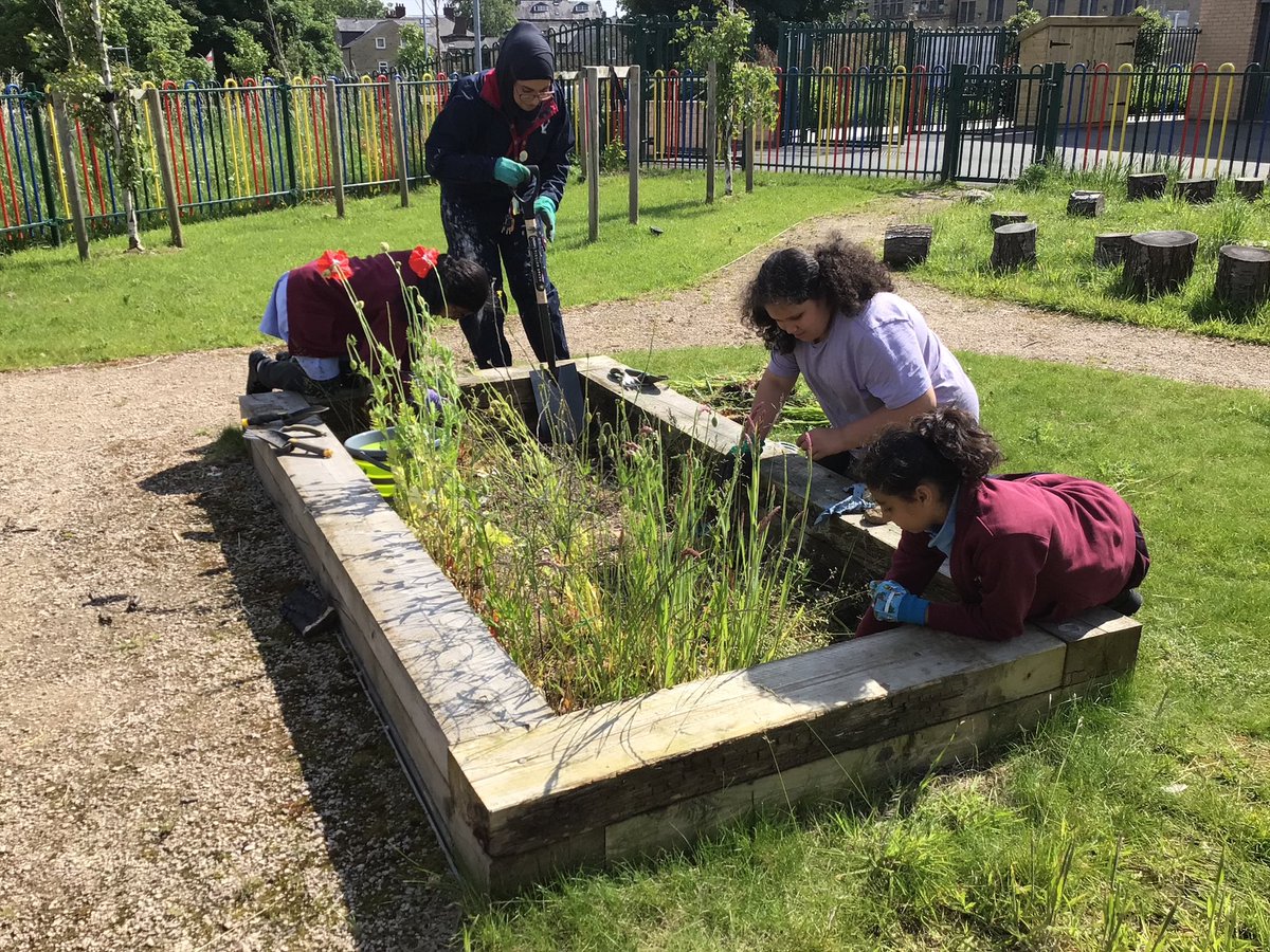 Brambles Primary Academy tweet media