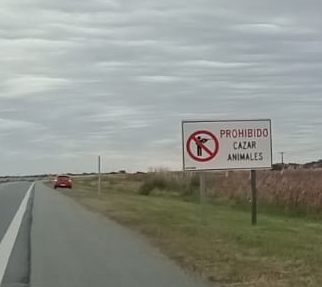 junyroggero's tweet photo. Los Soprano, chochos...
La prohibición de uno habilita a lo otro?
#ExijoUnaExplicación https://t.co/3myoQipCZU