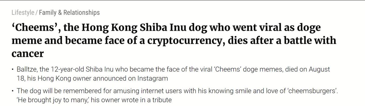 cheemscn_erc's tweet photo. $CHEEMS is the 2nd most famous doge aside from $KABOSU

and he is from hongkong! 

which makes him the chinese doge! 

https://t.co/qUo5P7ci2o

$ETH https://t.co/423sMN0sBi