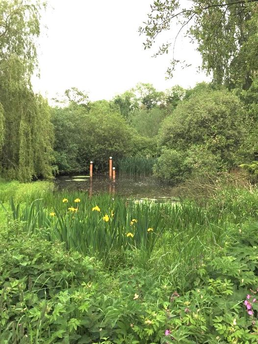 HTrail2019's tweet photo. Today's featured garden is a large tranquil garden to explore on many different elevations.  Enjoy the peace of the nature pond, or rest beside the sparkling streams of the burn.  A haven of tranquillity in an idyllic location. Ample parking within 50 metres. @hexhamtv https://t.co/PckdJ0GW6s