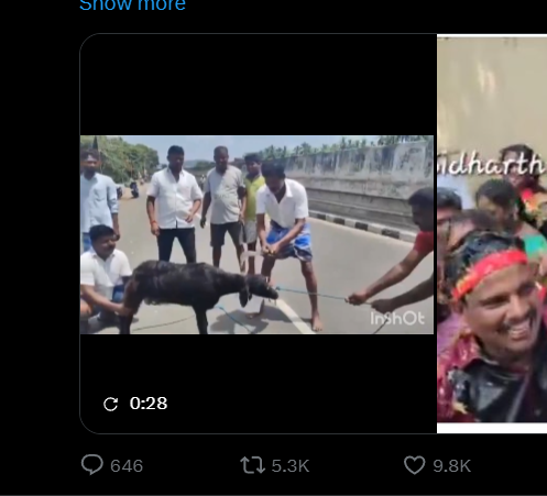 Bigbad75_YT's tweet photo. @S_I_D_007 @charlieINTEL "Doom is better than Cod"
Atliest cod fans don't repost videos of goats being beheaded and dragged through the street leaving a trail of blood, None of you are beating the Necrophilia alligations https://t.co/gz5lSvkpPW