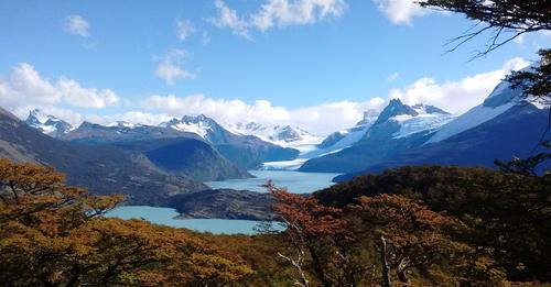 Argentina Forestal tweet media