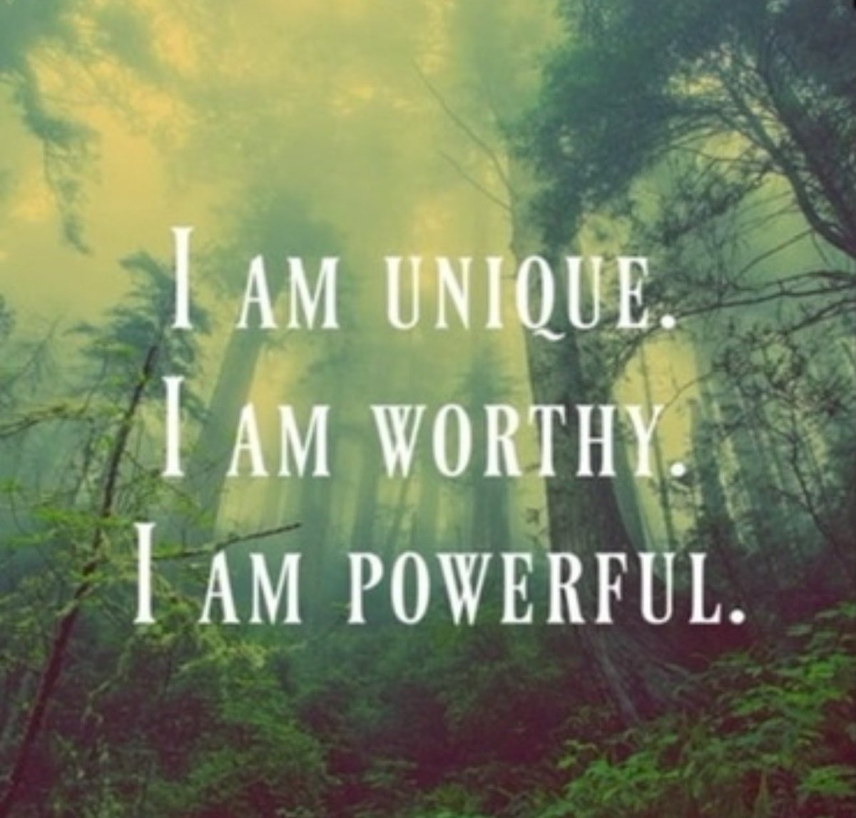 highervibes9's tweet image. 