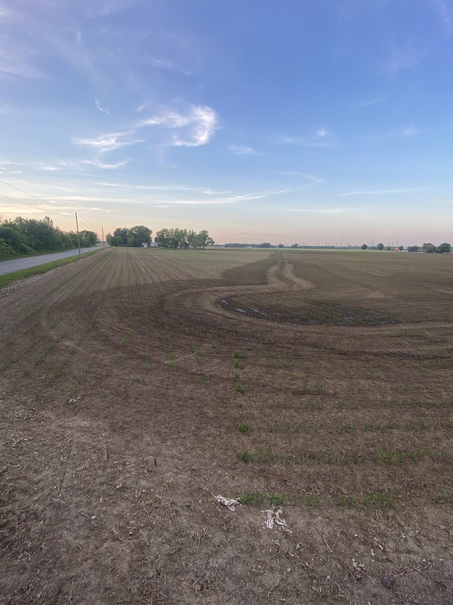 A Flat Land Farmer tweet media