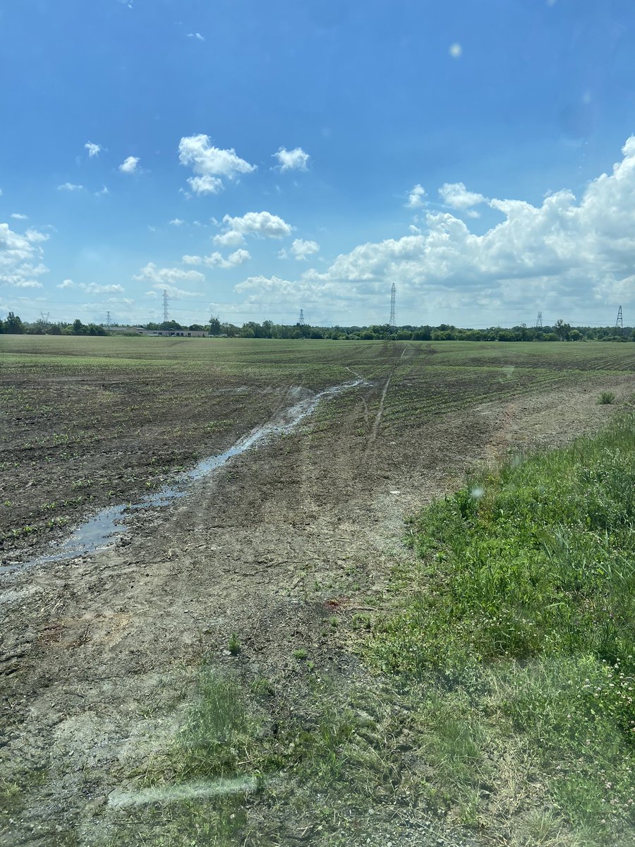 A Flat Land Farmer tweet media