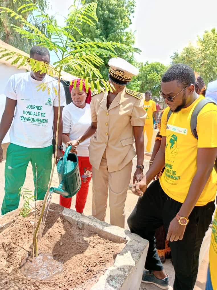 Célébration de la journée mondiale de l’environnement à Kolda le 05 Juin 2024.
<a href="/UrgencEco/">Urgence Ecolo Senegal</a>
@IREXintl
<a href="/CooperacionESP/">Cooperación Española</a>
<a href="/Jve_Senegal/">JVE SENEGAL 🇸🇳</a>
⁩  #ClimateActionNow #GenerationRestauration #Agroinnovation