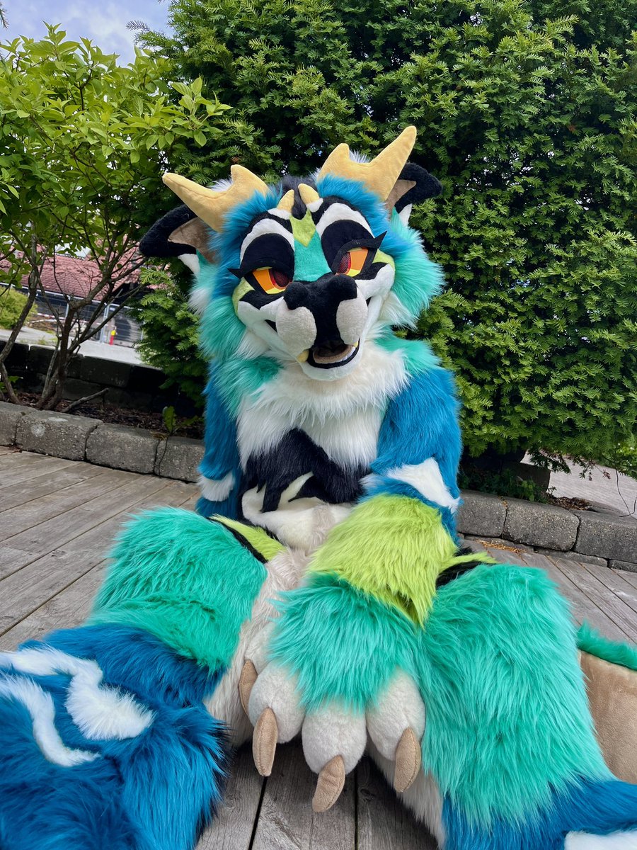 Sheenitude tweet media