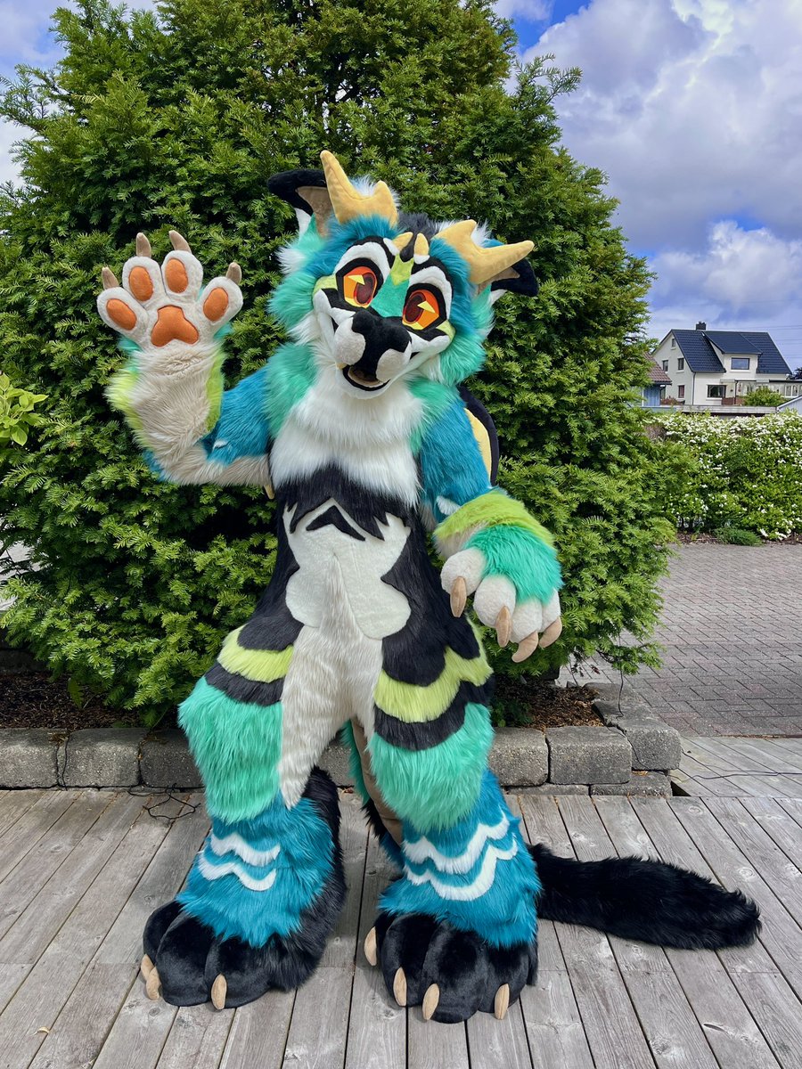 Sheenitude tweet media