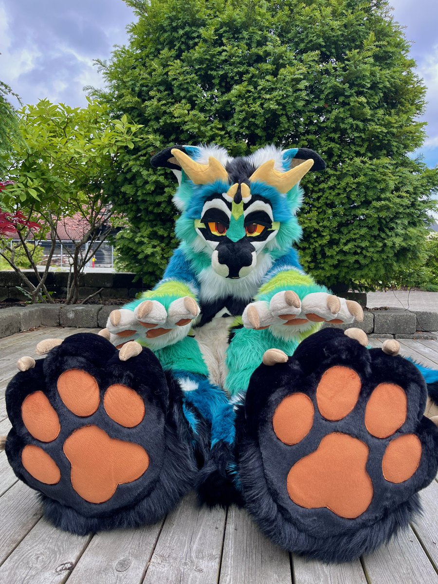 Sheenitude tweet media