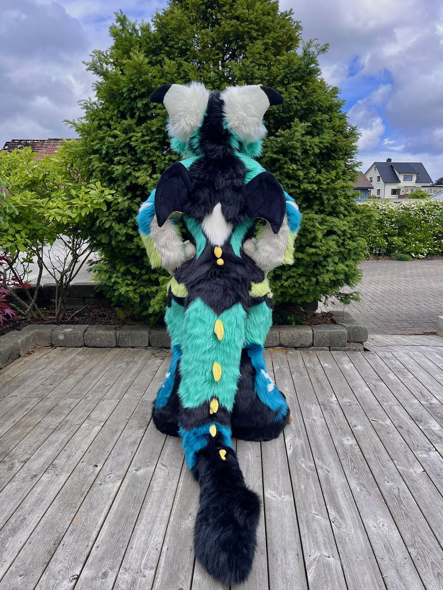 Sheenitude tweet media