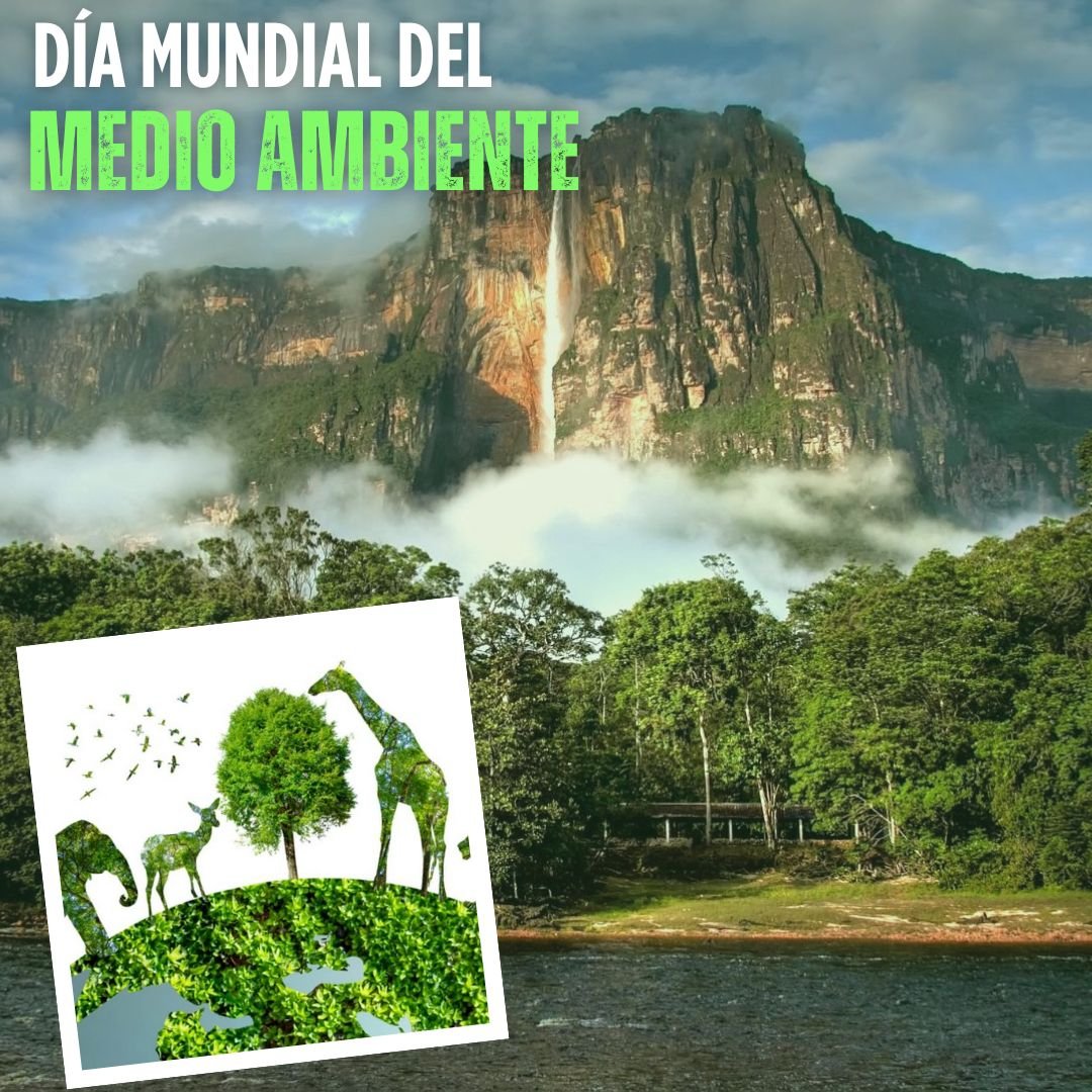 Tener un negocio implica  generar ganancias , impactar en el bienestar de la localidad, y  ser sostenible, es decir de utilizar racionalmente los recursos para no impactar negativamente a las generaciones futuras. Debemos 
cuidar nuestra casa común: La Tierra.