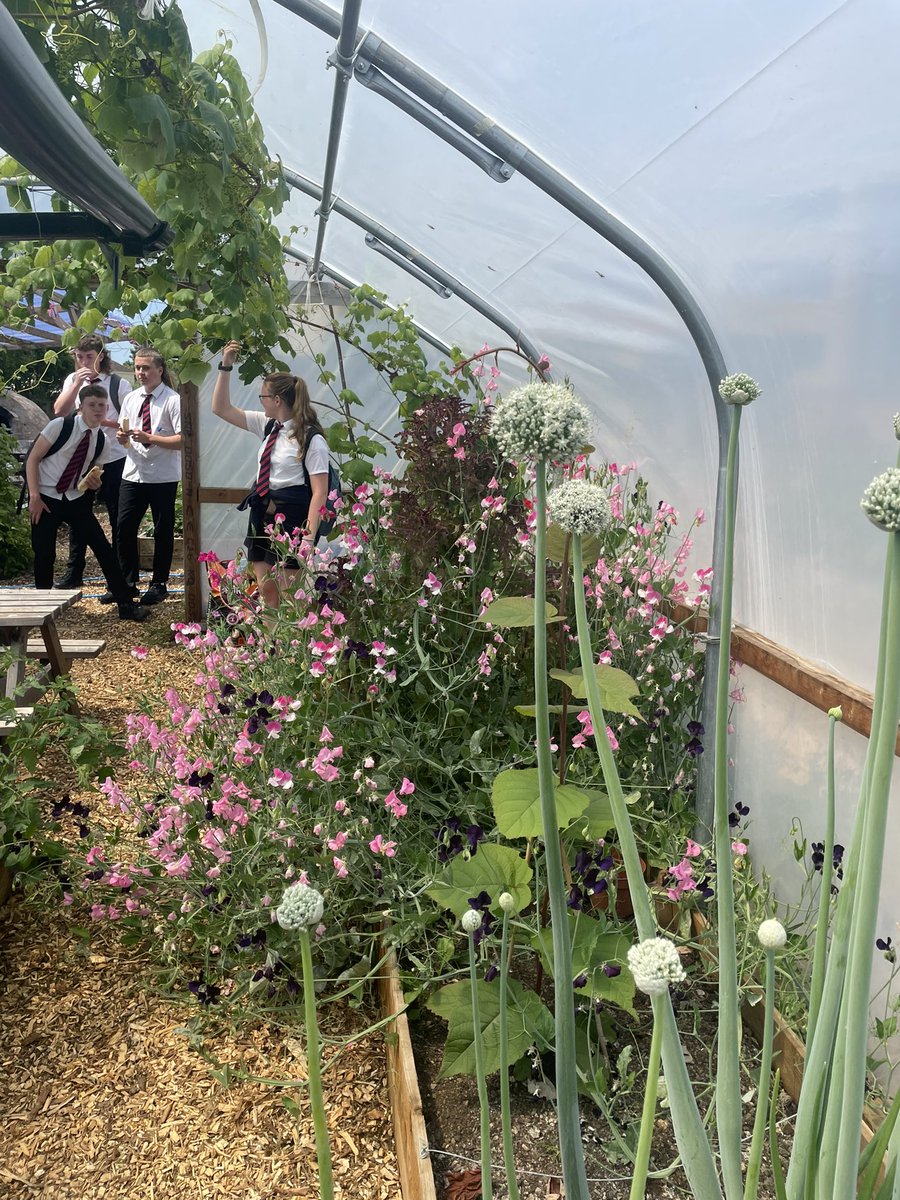 Back 2 Nature | Llantwit Major School tweet media